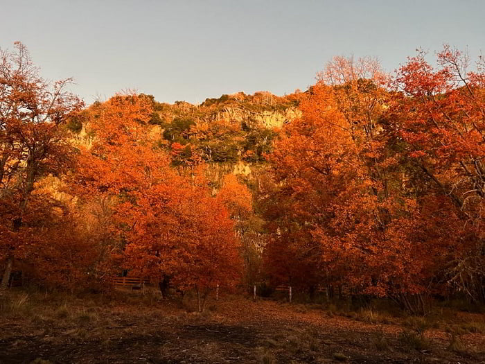 Valle Las Trancas Otoño